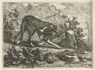 Ein Hund von Jan Fyt